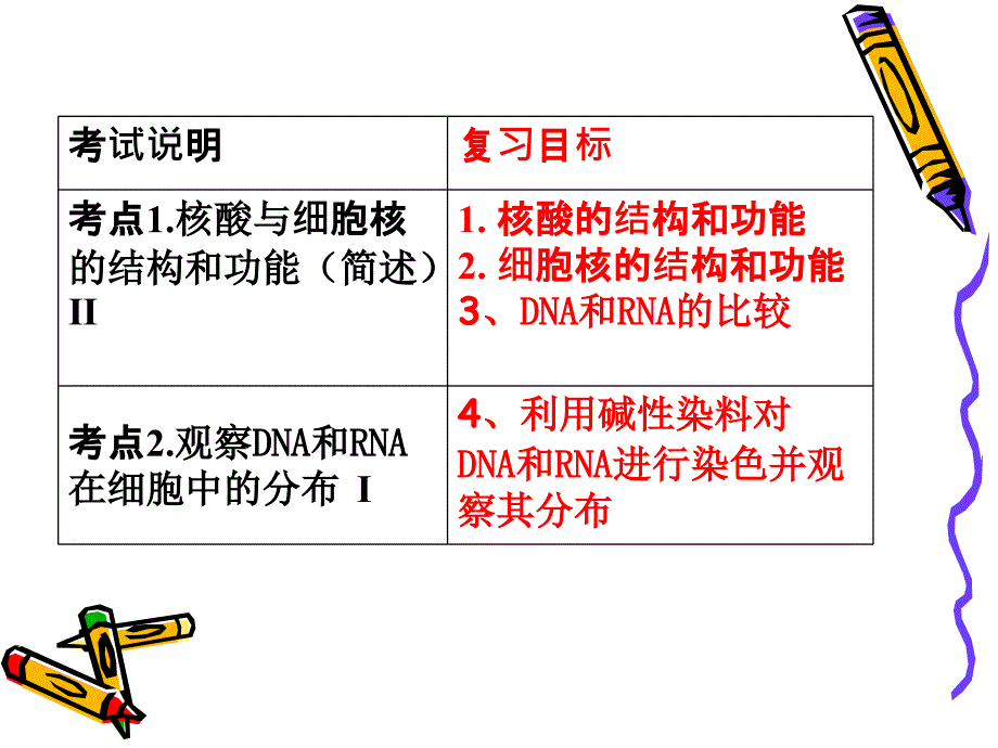 核酸和细胞到核复习课_第2页