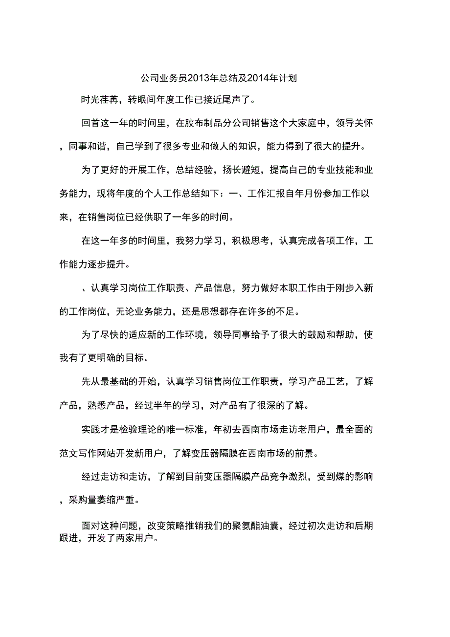 公司业务员2013年总结及2014年计划_第1页