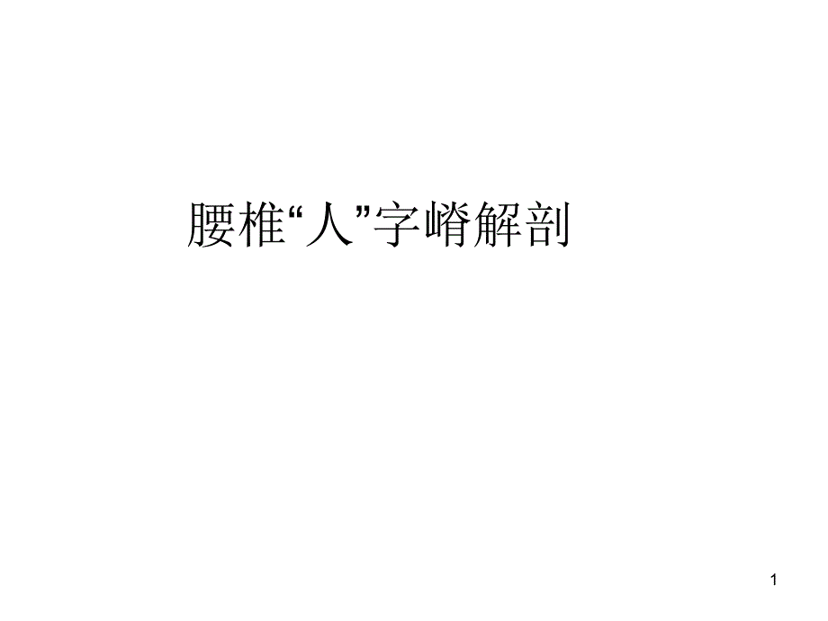 人子脊解剖PPT参考课件_第1页