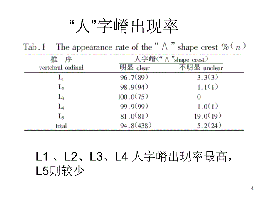 人子脊解剖PPT参考课件_第4页