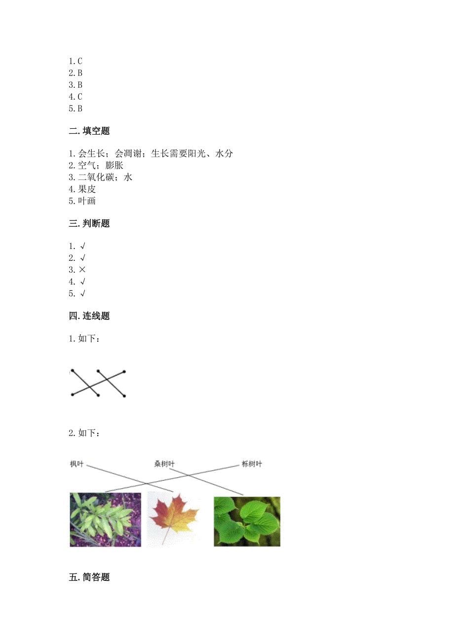 教科版科学一年级上册第一单元《植物》测试卷(考点梳理).docx_第5页