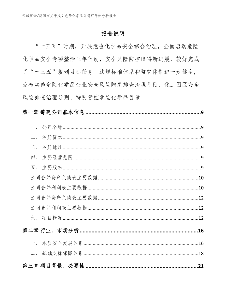 庆阳市关于成立危险化学品公司可行性分析报告【范文模板】_第2页