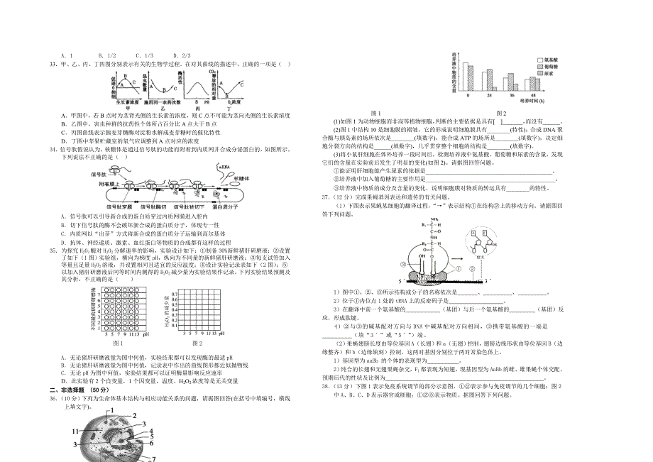 2022年高三上学期第二次大考生物试题 含答案_第4页