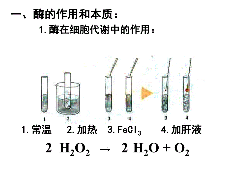 第1节---降低化学反应活化能的酶(123)课ppt课件_第4页