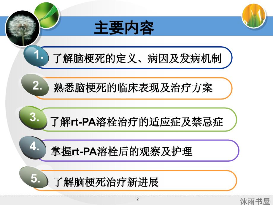 脑梗死溶栓护理[智囊书苑]_第2页