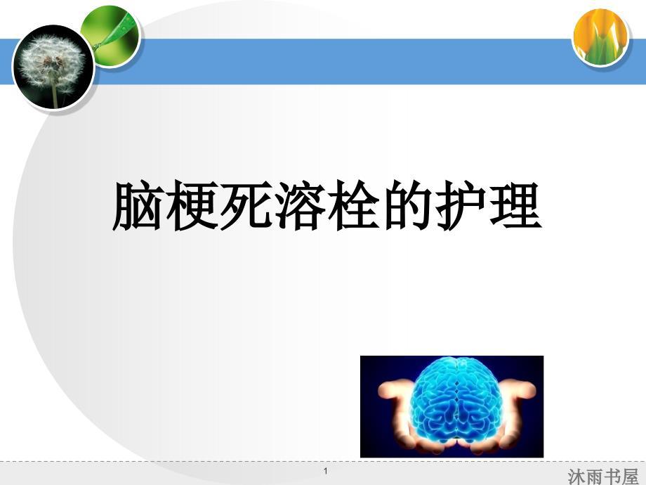 脑梗死溶栓护理[智囊书苑]