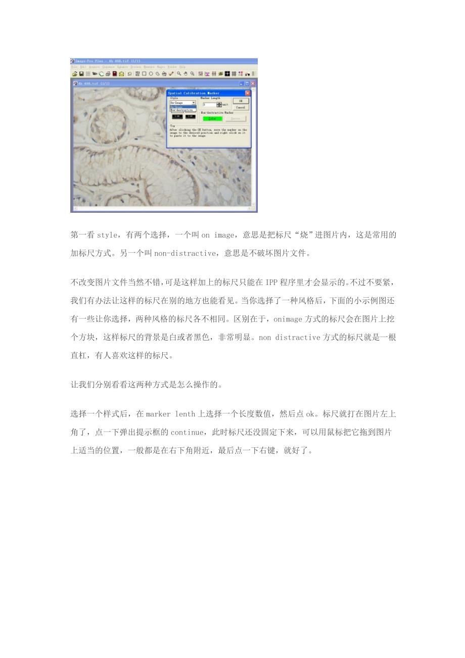 Imagepro plus 如何在图片上加标尺.doc_第2页