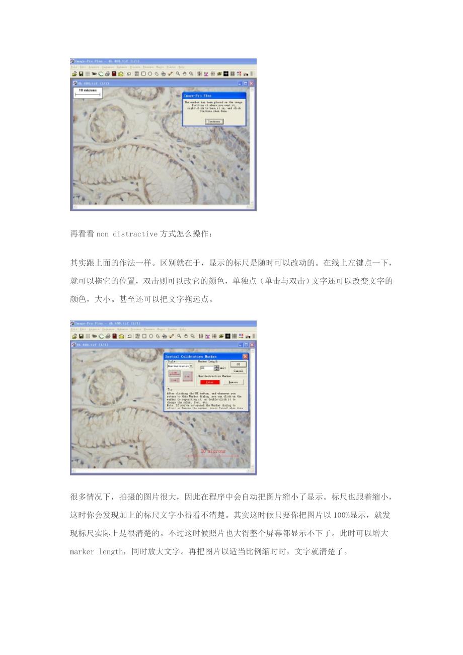 Imagepro plus 如何在图片上加标尺.doc_第3页