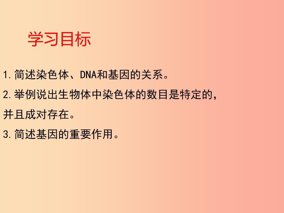 八年级生物上册20.2性状遗传的物质基础课件4新版北师大版.ppt_第3页