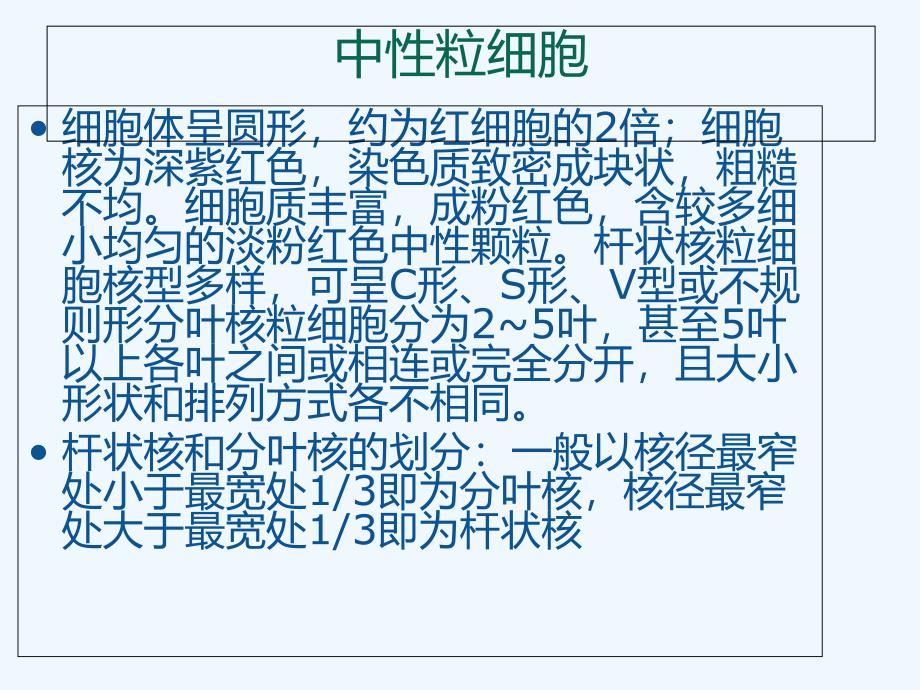 白细胞形态与分类_第3页