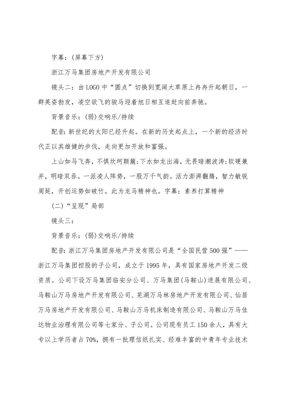 企业形象宣传策划文案.docx_第5页