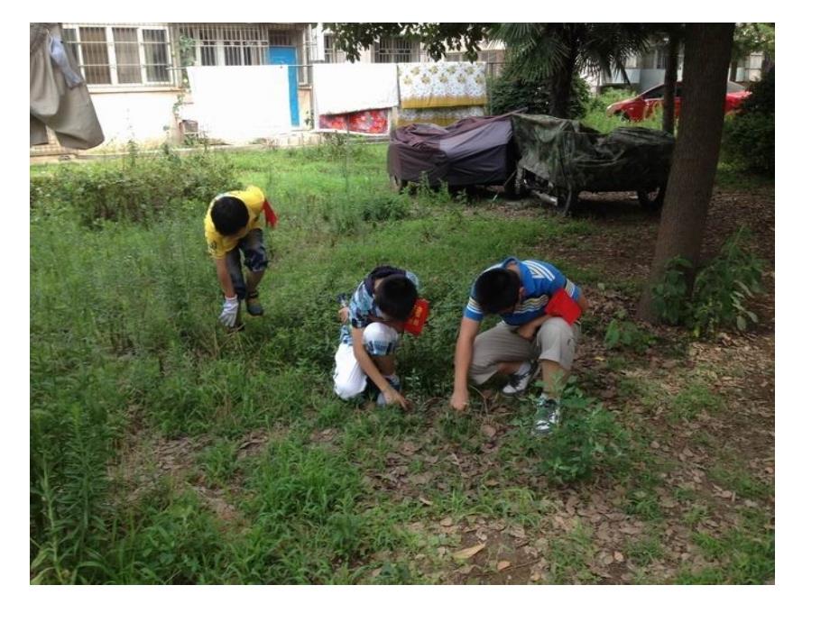 山科版小学四年级综合实践上册争做小小志愿者课件_第3页