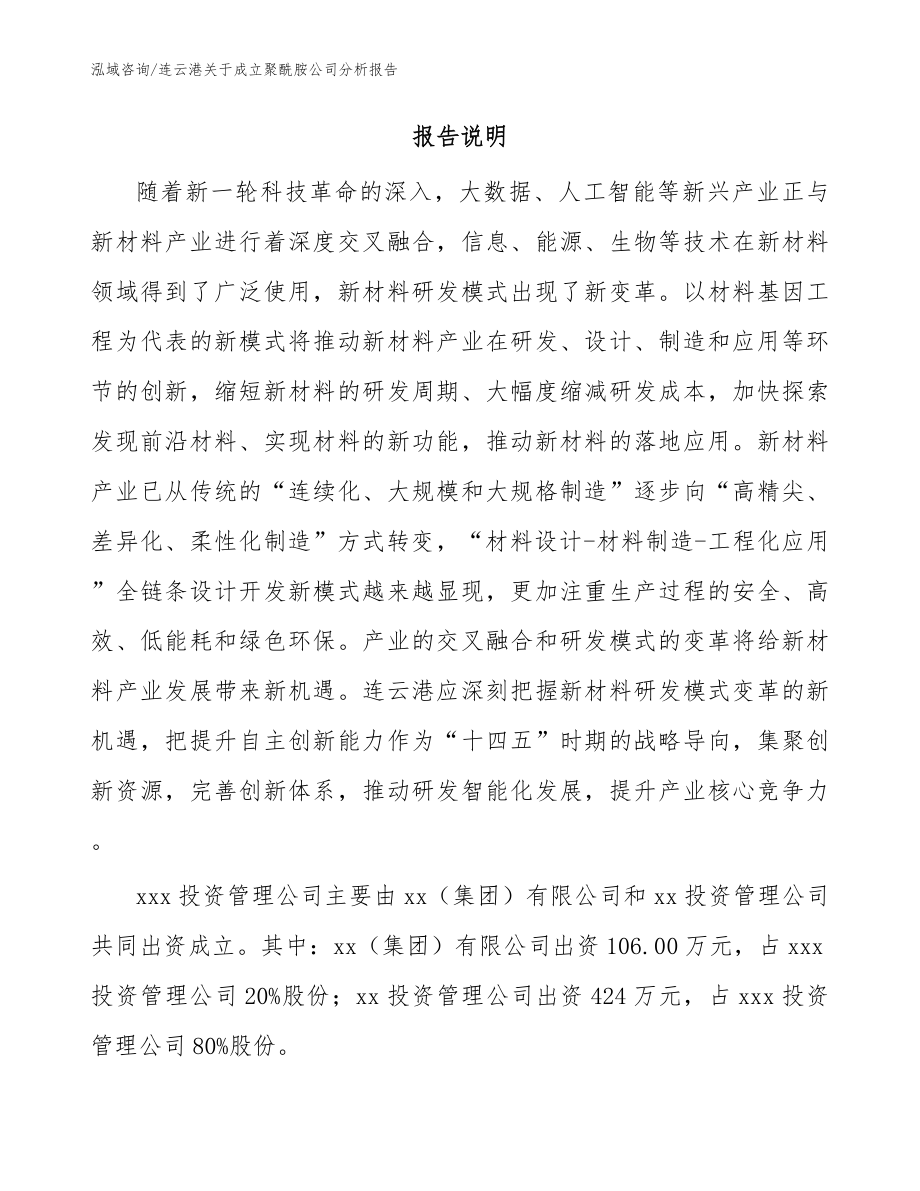 连云港关于成立聚酰胺公司分析报告【模板】_第2页