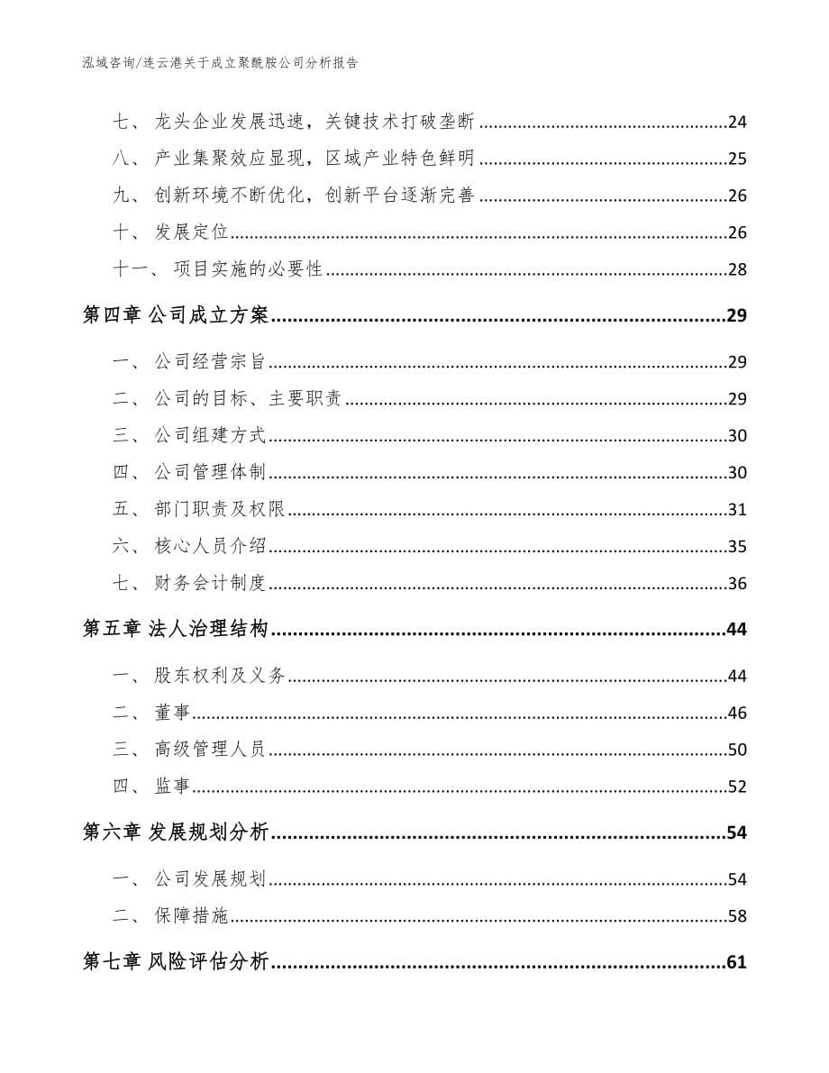 连云港关于成立聚酰胺公司分析报告【模板】_第5页