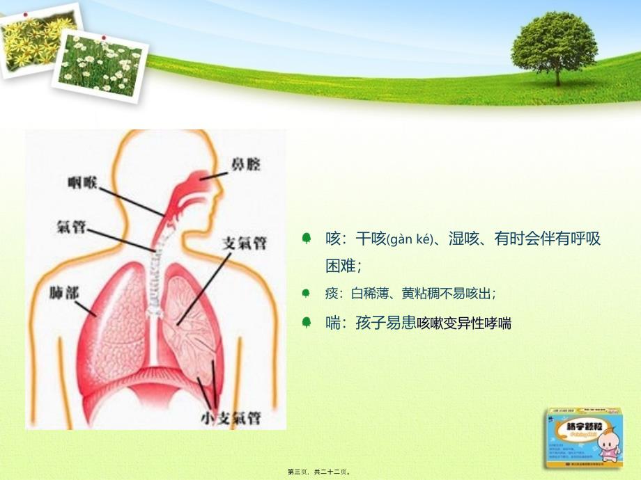 医学专题—修正肺宁颗粒_第3页