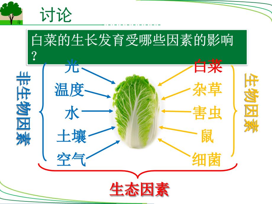 北师大版生物七年级上册12生物与环境的相互影响课件_第2页