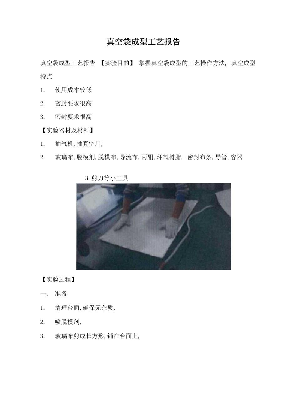 真空袋成型工艺报告_第1页