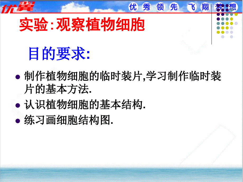 第二节植物细胞通用课件_第3页