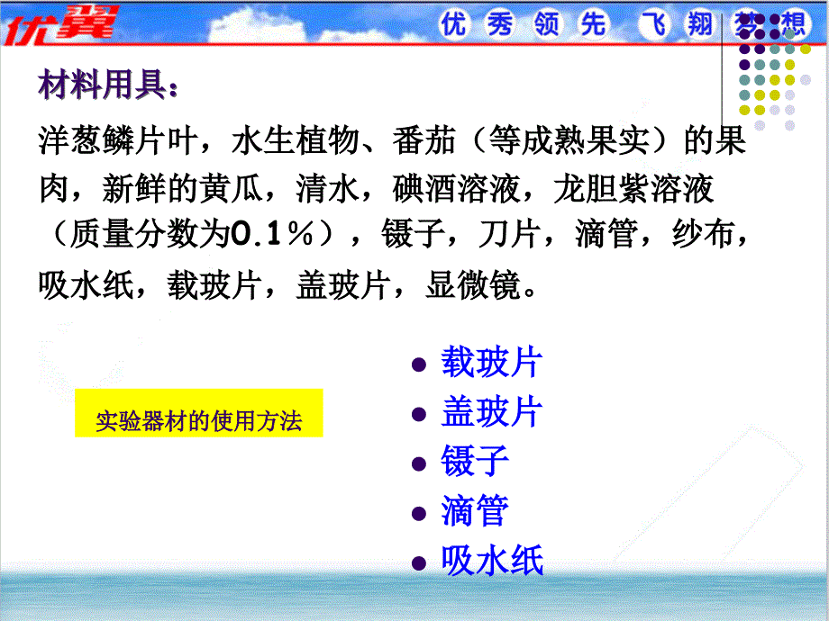 第二节植物细胞通用课件_第4页