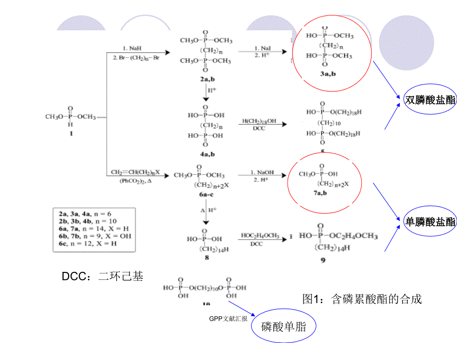 GPP文献汇报课件_第3页