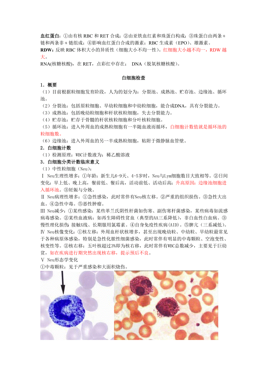 检验职称系列---白细胞检查.doc_第1页