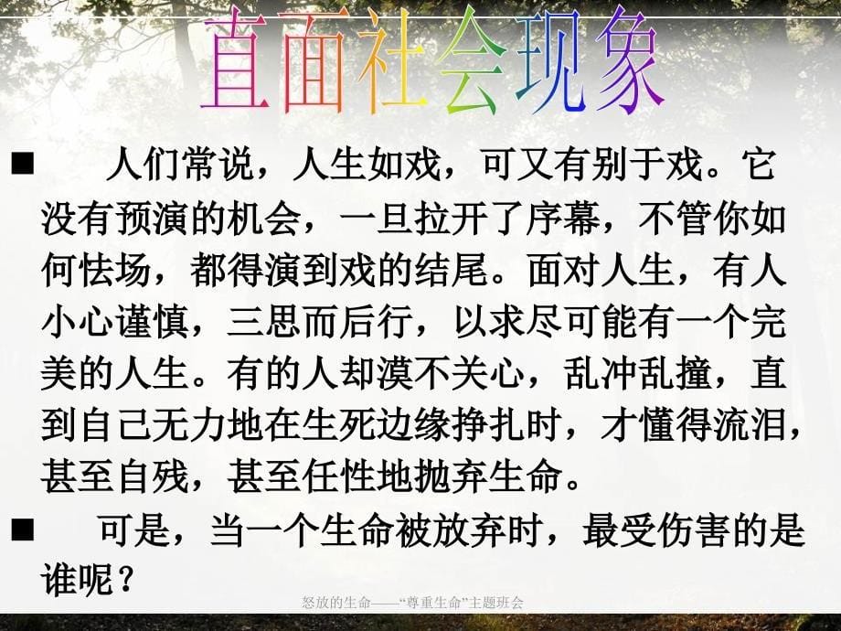 怒放的生命尊重生命主题班会_第5页