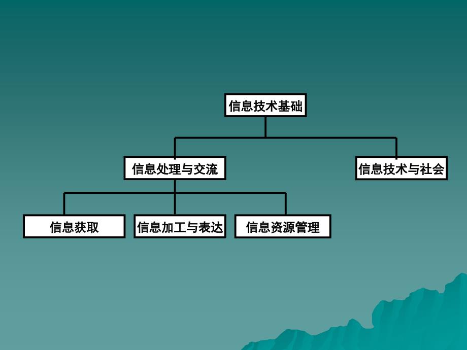 信息加工与表达_第1页