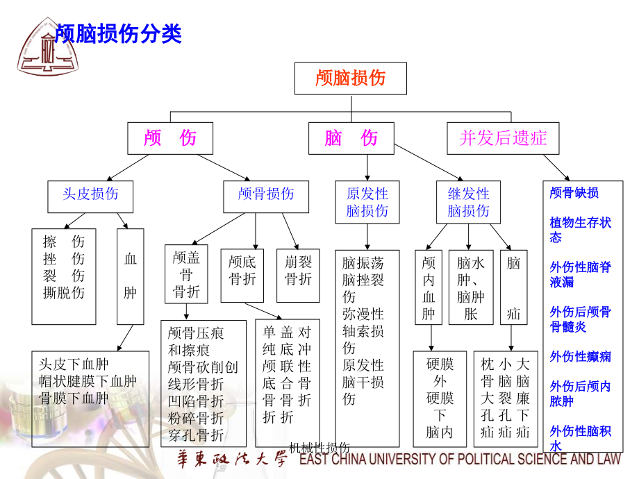 机械性损伤课件_第4页