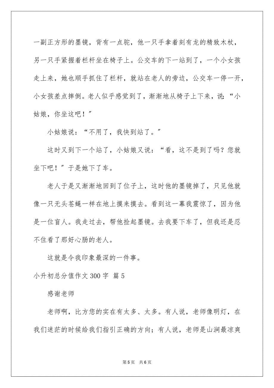 2023年小升初满分作文300字39范文.docx_第5页