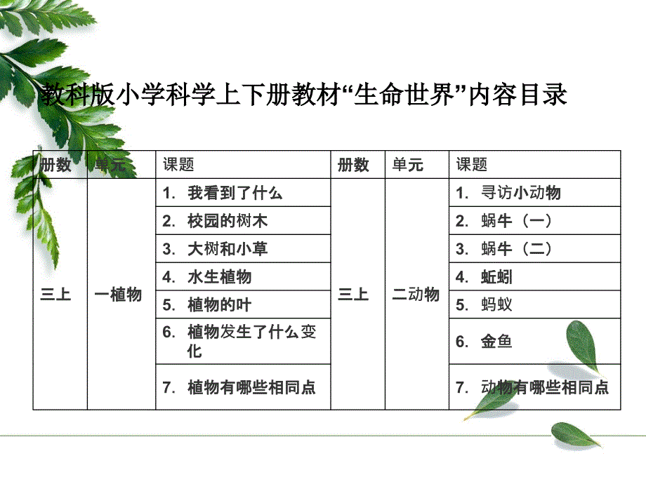 生命世界叶枝栋课件_第3页