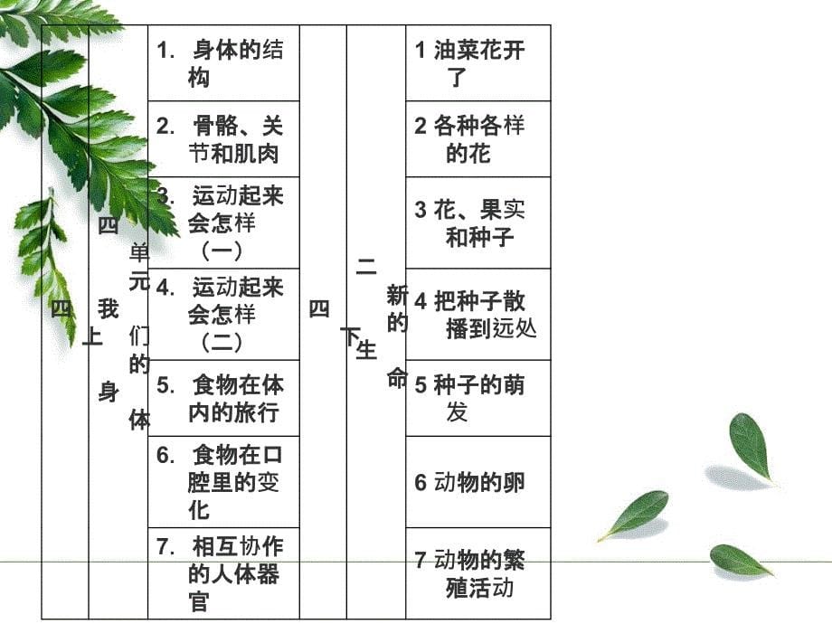 生命世界叶枝栋课件_第5页