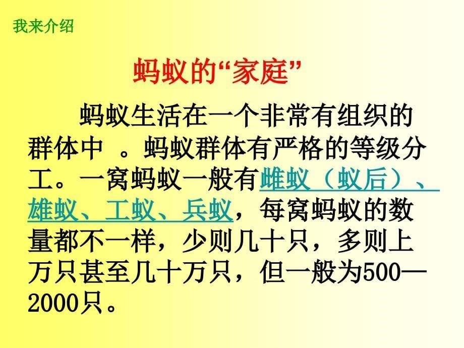 青岛版小学科学三年级下册《蚂蚁》课件2_第5页