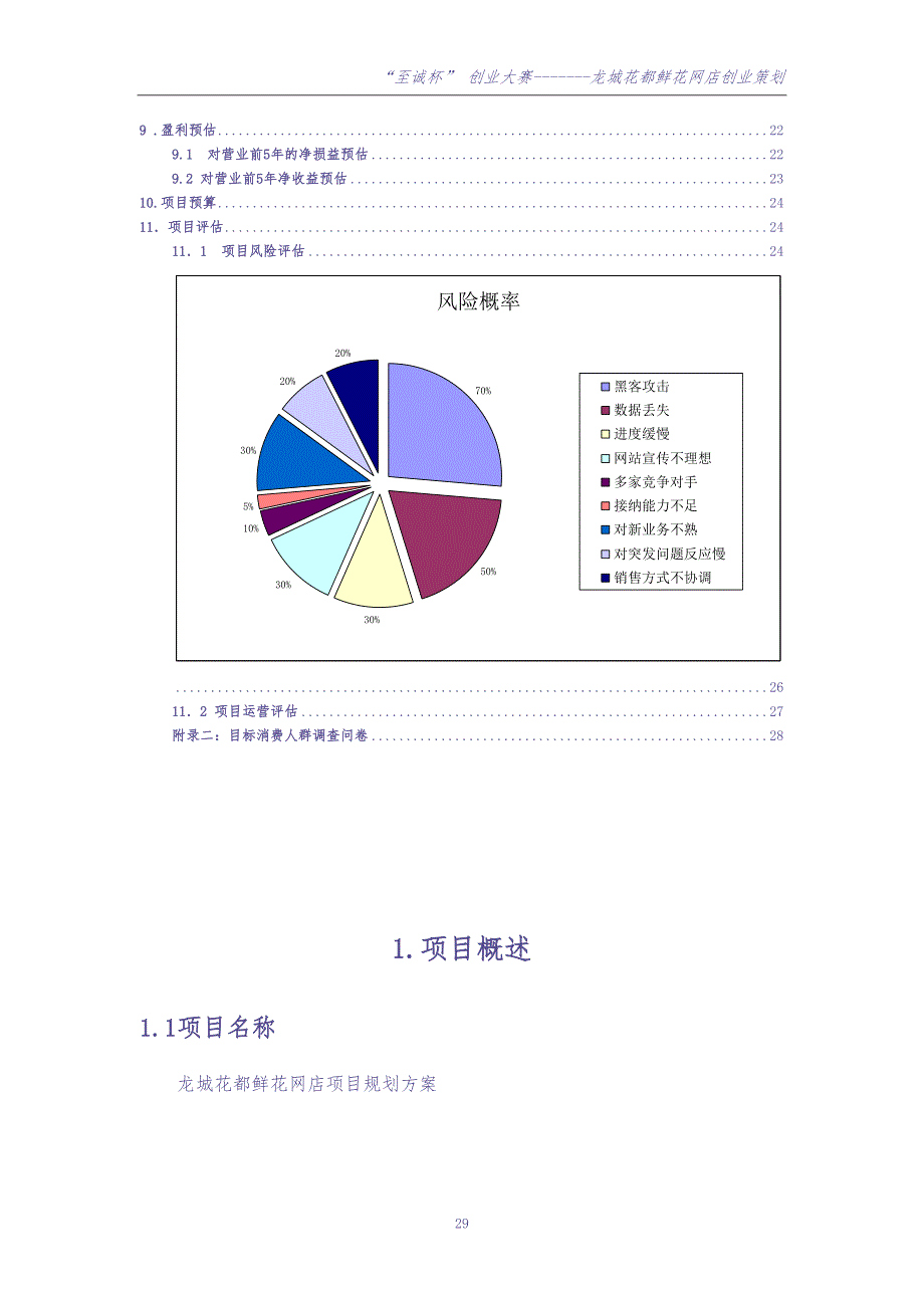 龙城花都-电子商务创业策划 (2)（天选打工人）.docx_第3页