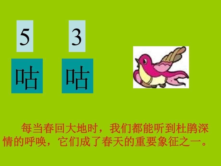 人音小学音乐三年级下册《3顽皮的杜鹃》PPT课件 (4)_第5页