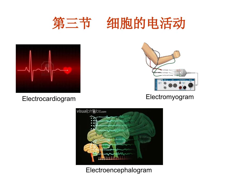 生理学：心肌电生理_第1页