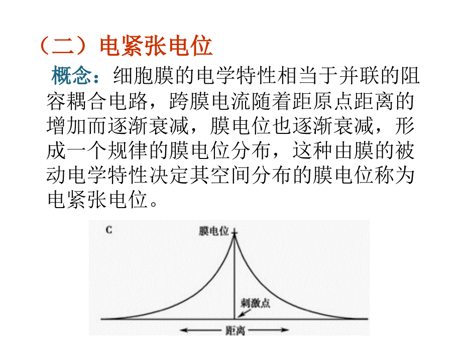 生理学：心肌电生理_第4页