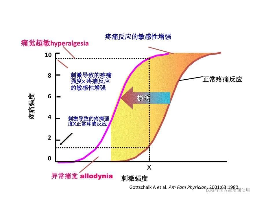 疼痛基础知识_第5页