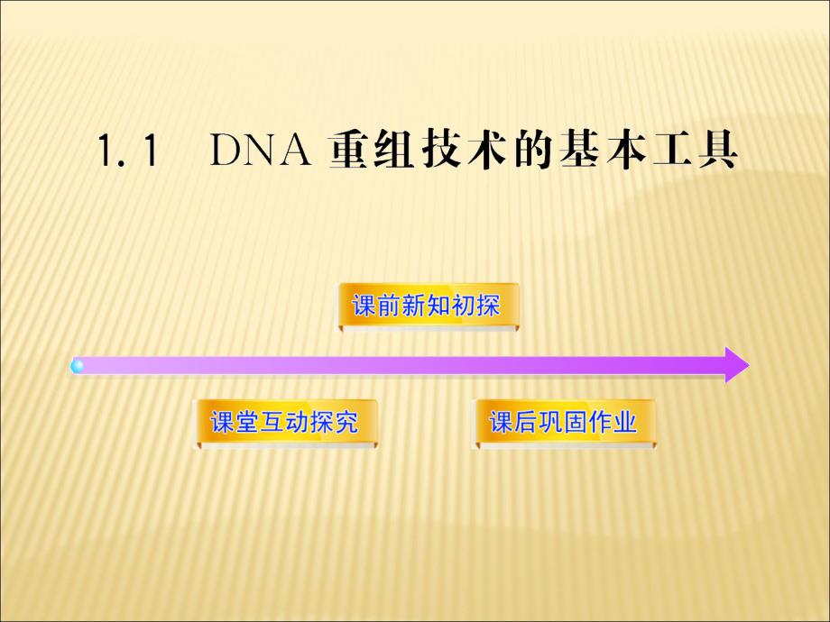 生物选修三11_第1页