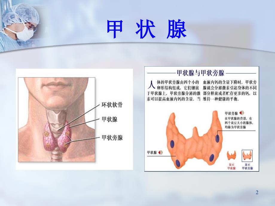 甲状腺结节的诊断与治疗ppt课件_第2页