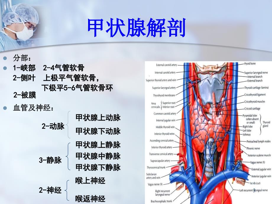 甲状腺结节的诊断与治疗ppt课件_第3页