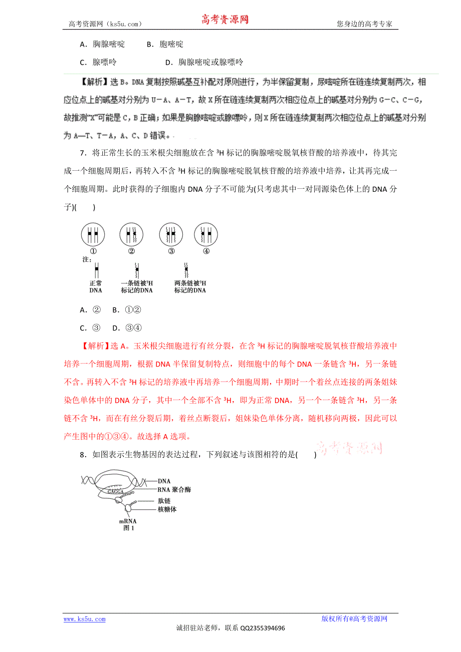 遗传分子基础.doc_第3页