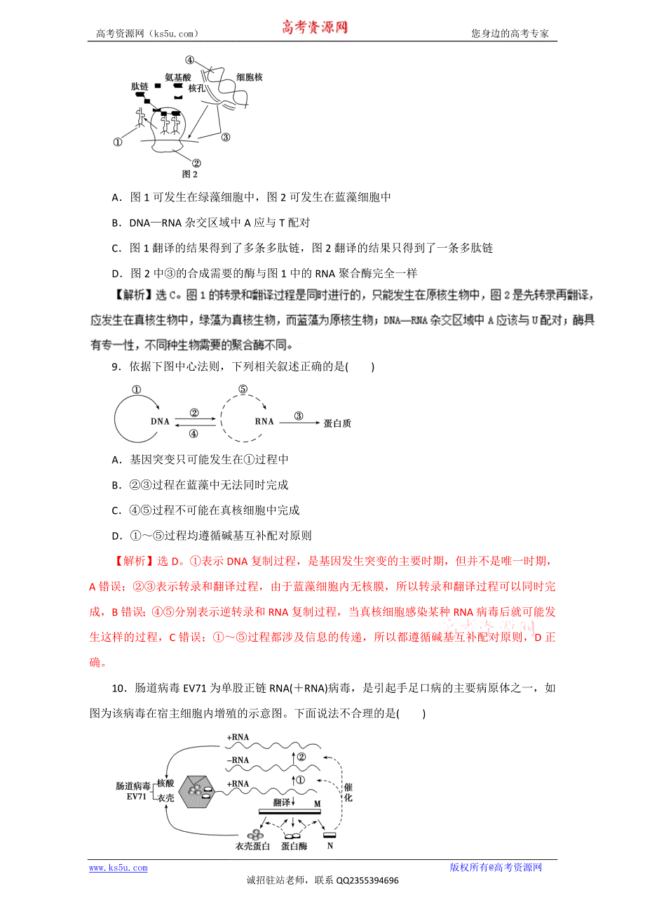 遗传分子基础.doc_第4页