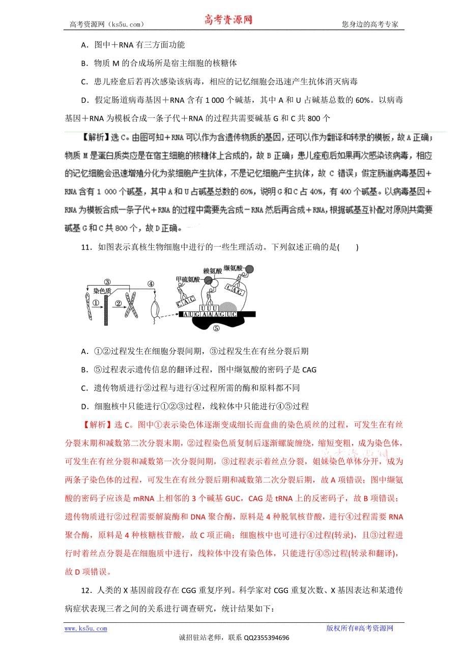 遗传分子基础.doc_第5页