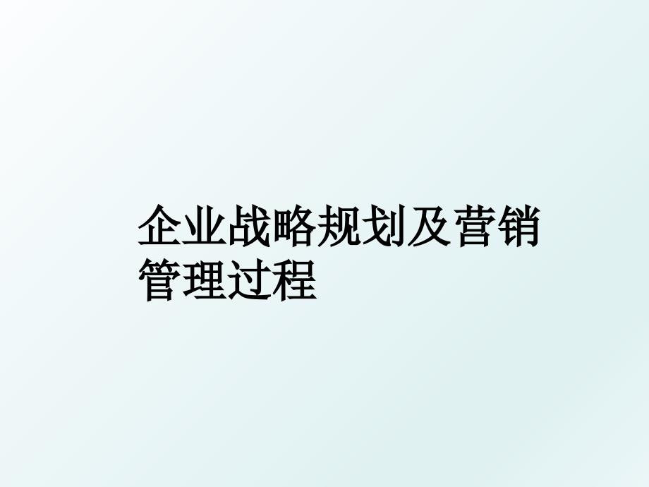 企业战略规划及营销过程_第1页