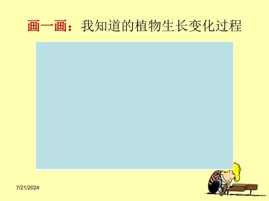 教科版小学科学三年级下册《植物新生命的开始》探究教学课件_第5页