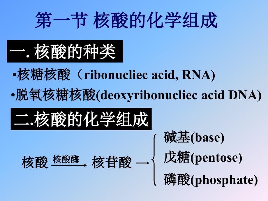 核酸化学与核苷酸代谢课件_第4页