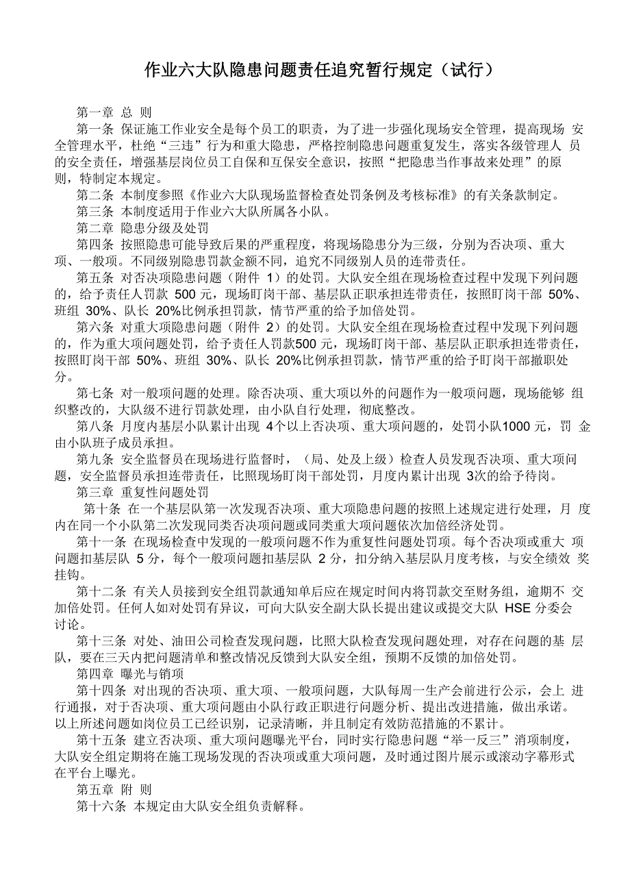 隐患问题责任追究暂行规定_第1页
