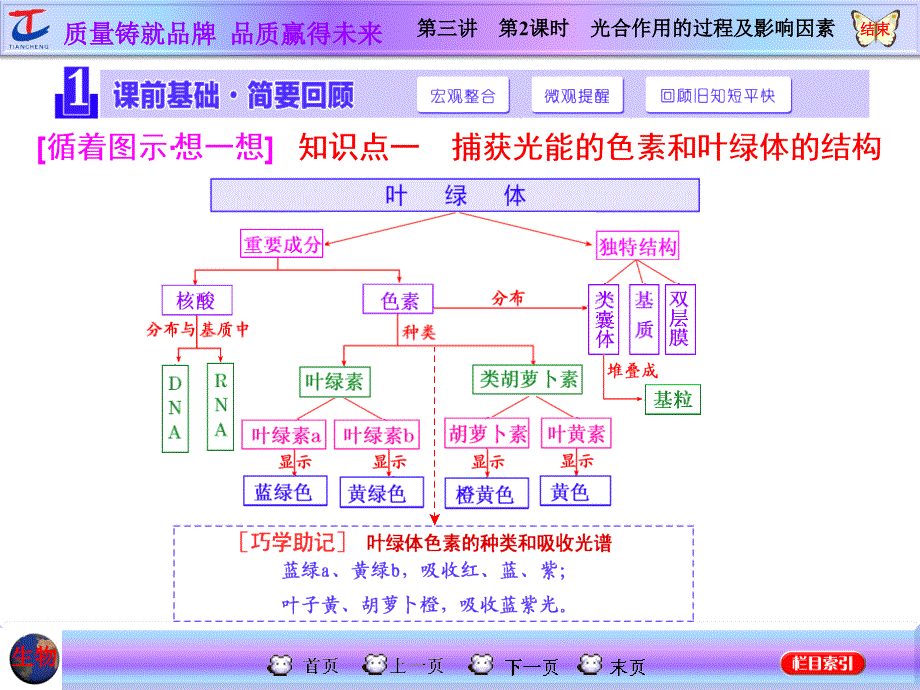 第三讲第2课时光合作用的过程及影响因素_第2页