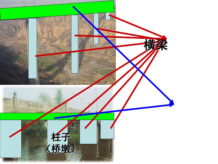 教科版六年级上册二单元课_第3页