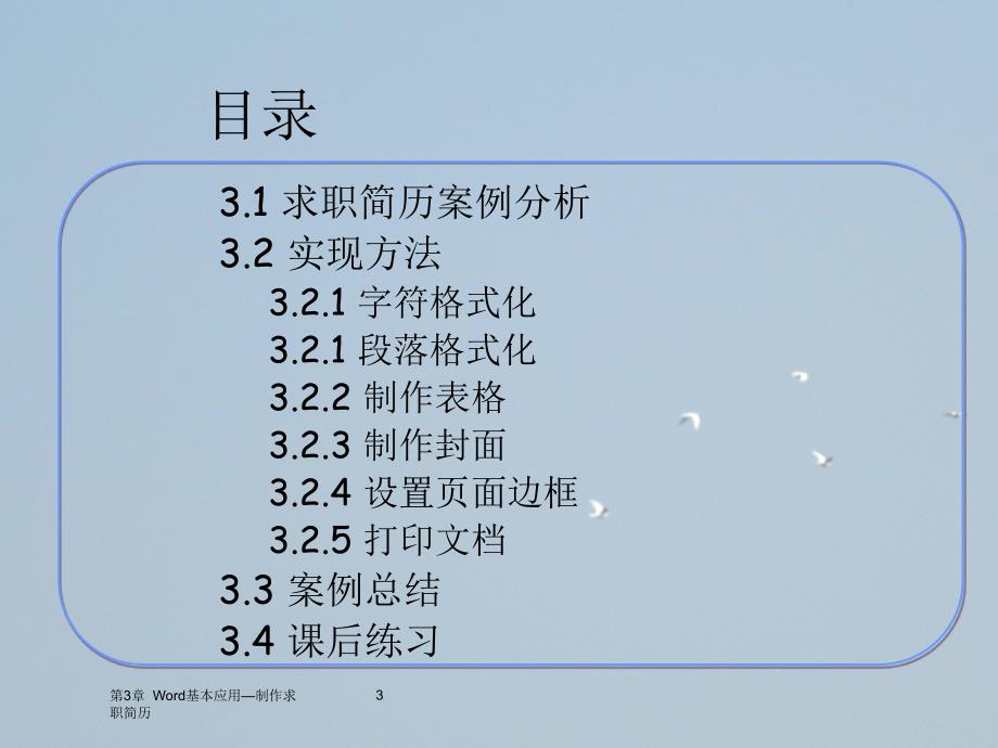 第三章Word基本应用制作求职简历_第3页